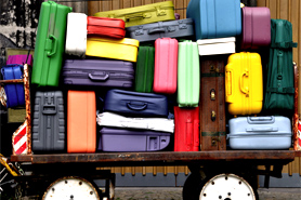 Handbags, Luggage & Travel